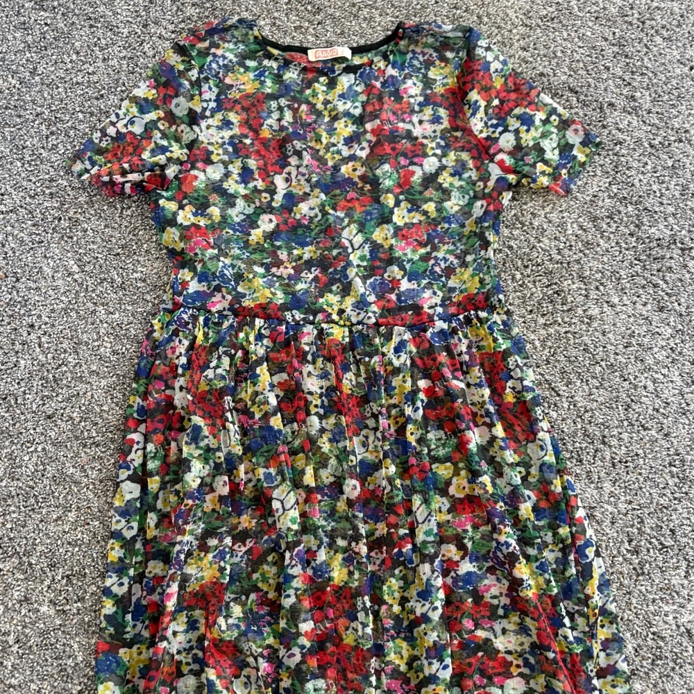 Vintage Mesh Skater Dress